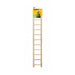 Prevue Birdie Basics Ladder - 11 Rung Ladder - Giftscircle