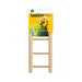 Prevue Birdie Basics Ladder - 3 Rung Ladder - Giftscircle