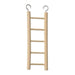 Prevue Birdie Basics Ladder - 5 Rung Ladder - Giftscircle