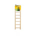 Prevue Birdie Basics Ladder - 7 Rung Ladder - Giftscircle