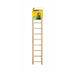 Prevue Birdie Basics Ladder - 9 Rung Ladder - Giftscircle