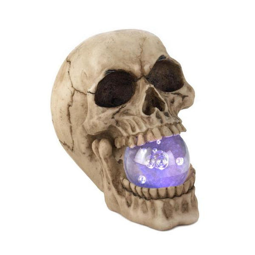 Skull Decor with LED Light-Up Orb - Giftscircle