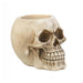 Skull Desktop Pen Holder - Giftscircle