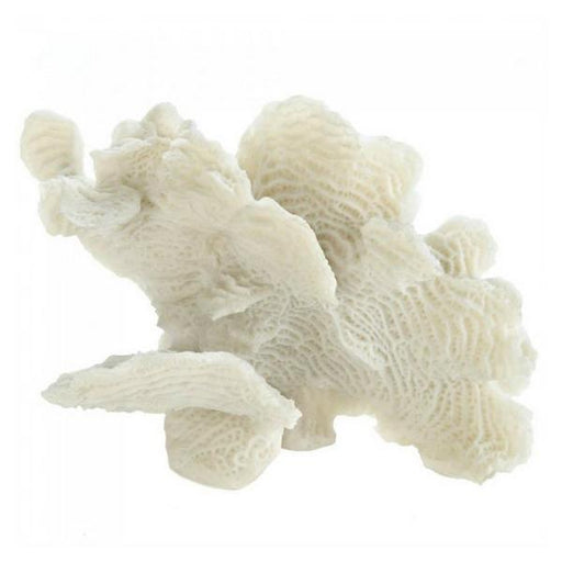 Tabletop Coral Decor - Giftscircle